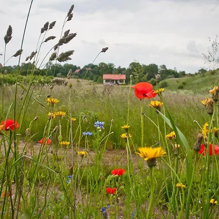 Siedlisko Upalty Holiday home
